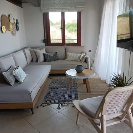 公寓式酒店 Xenonas Apollon 萨尔蒂